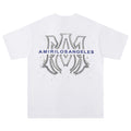 Amiri Los Angeles T-Shirts