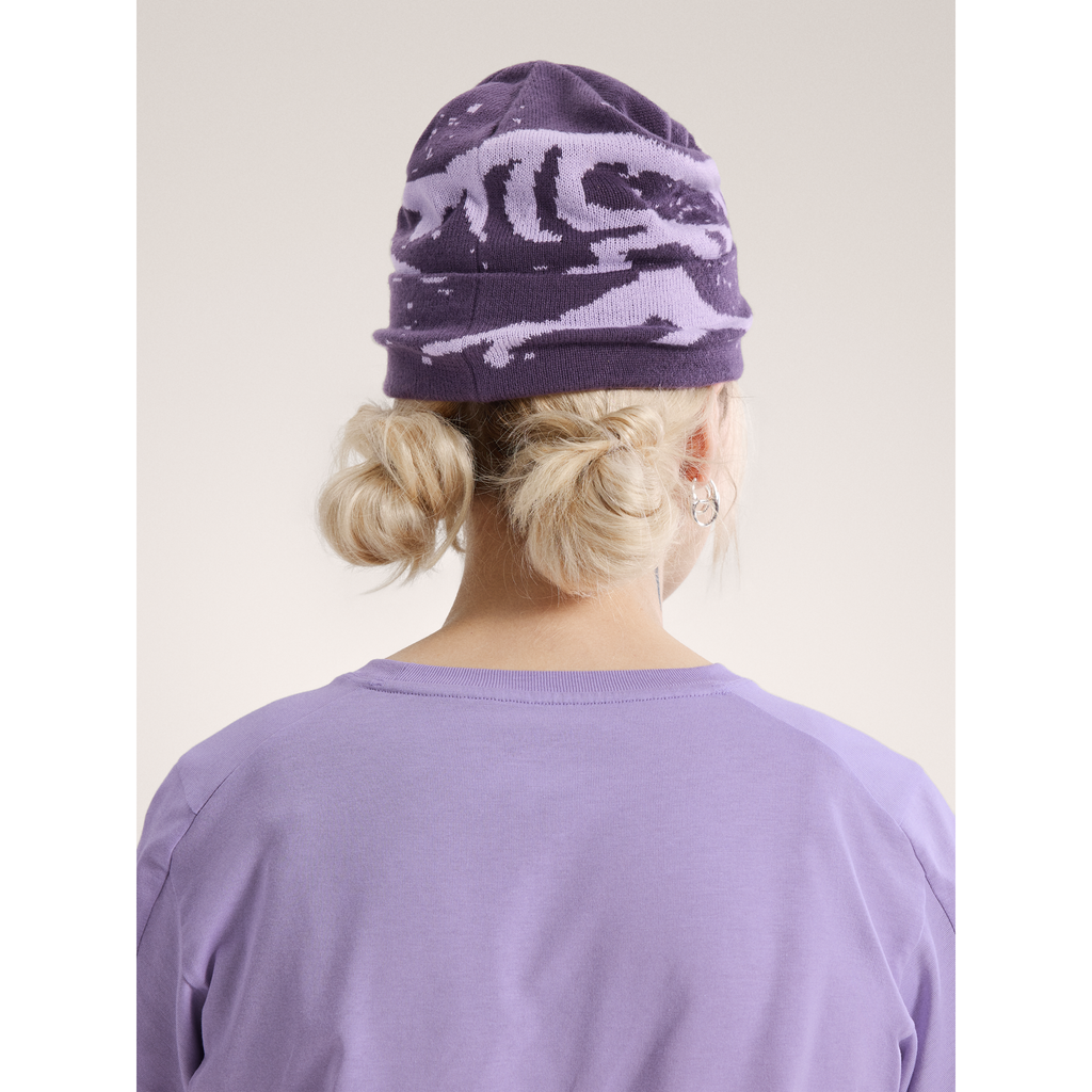 Arc'teryx Grotto Toque