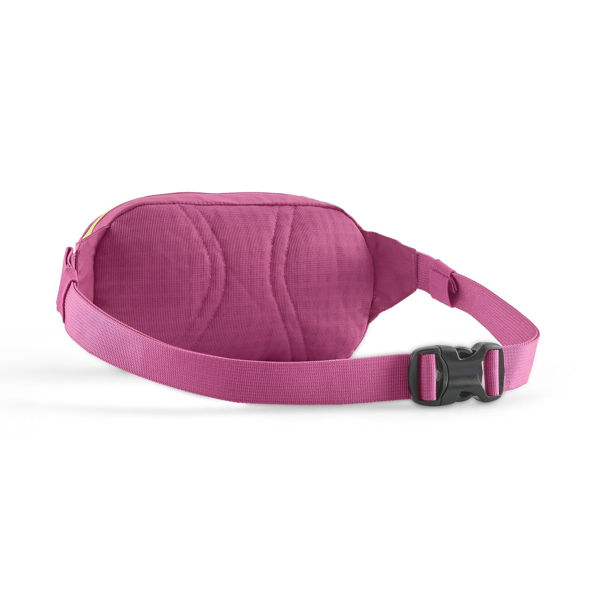 Patagonia Terravia Mini Hip Pack 1L